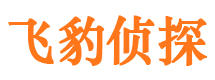 隆德找人公司